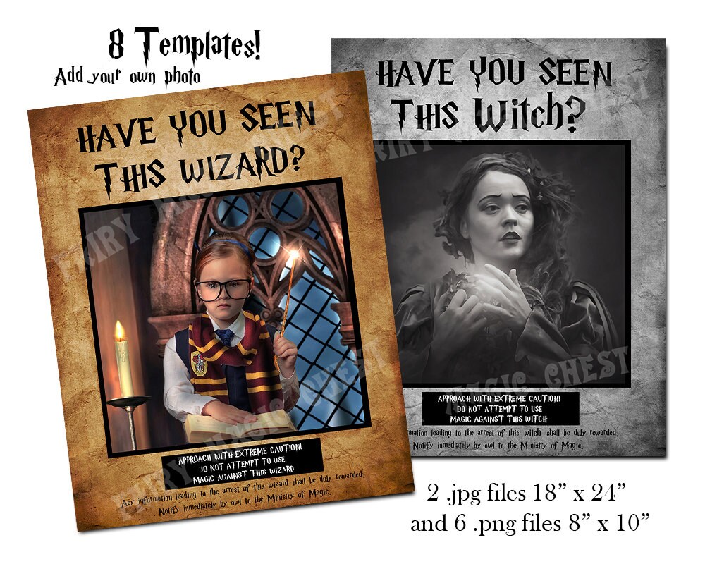 Harry Potter Have You Seen This Wizard Photo Frame 