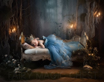 Princess Baby Bed Digital Backdrop: Newborn Photography Prop (Digital Download)