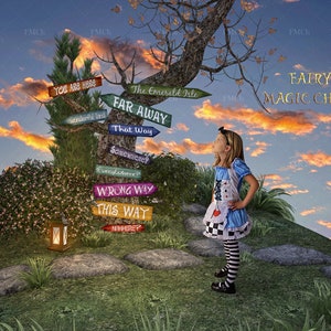 Digital Backdrop, crossroads in Wonderland , digital background for composite photography. Charming nook with road signs.