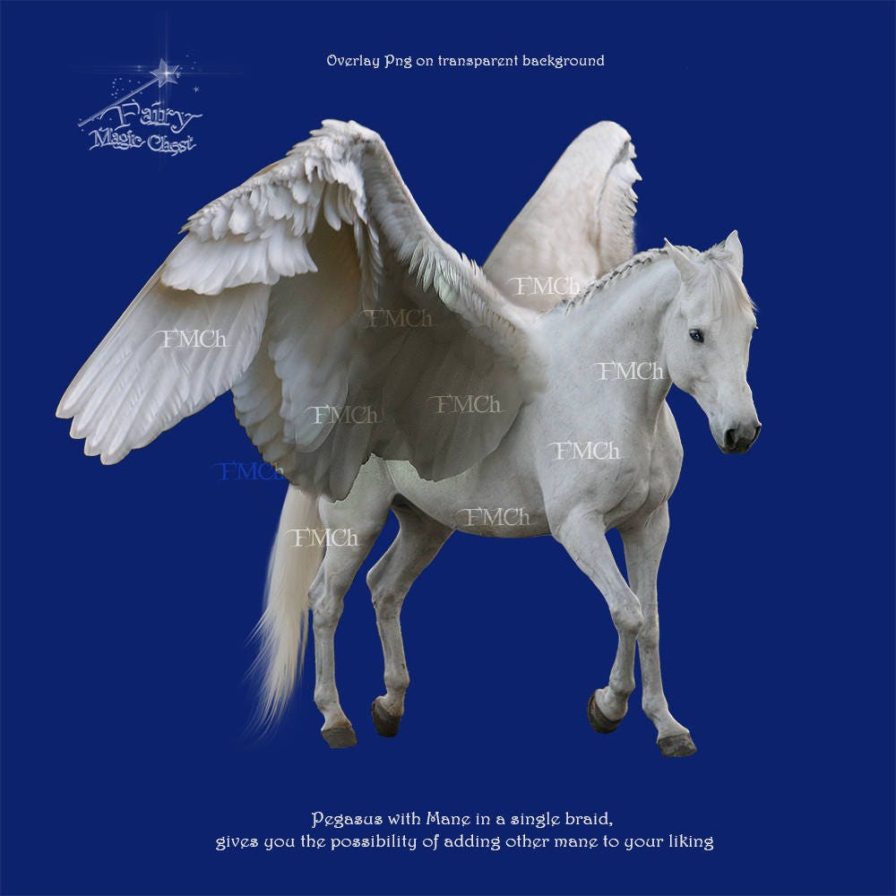 Pegasus Overlay Unicorn Realistic Unisus Horse With Wings Etsy