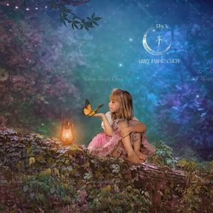 May include: A young girl sits on a log in a magical forest setting. She is wearing a pink dress and a headband. A yellow butterfly is perched on her hand. A lantern glows in the background. The text "FMCH Fairy Magic Chest" is visible in the upper right corner of the image.
