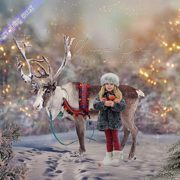 Arrière - plan / toile de fond numérique pour Noël , renne du père Noël dans un endroit enneigé , ciel magique et crémeux , superposition de neige en cadeau