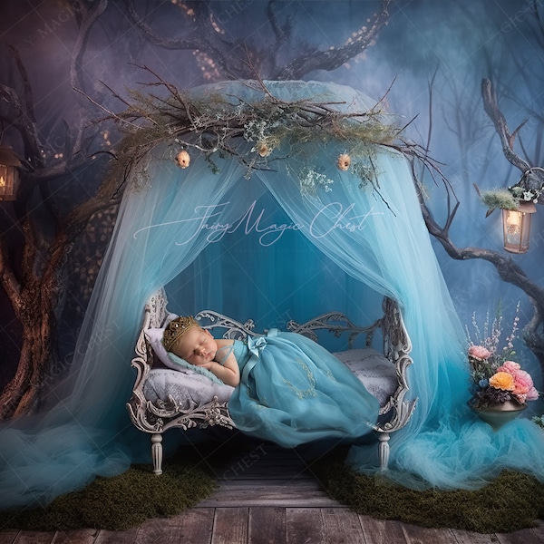 Newborn Digital Background , digital backdrop, baby girl crib , Princess Bed , blue,  for newborn photography. Cinderella