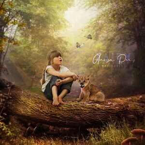 Digital background baby lion on tree log , creamy digital backdrop with animal , encanted forest , perfect for children photo composites