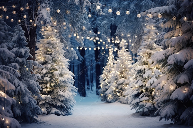 May include: A snowy woodland path lined with pine trees decorated with twinkling white lights. The path leads through the trees and disappears into the distance.