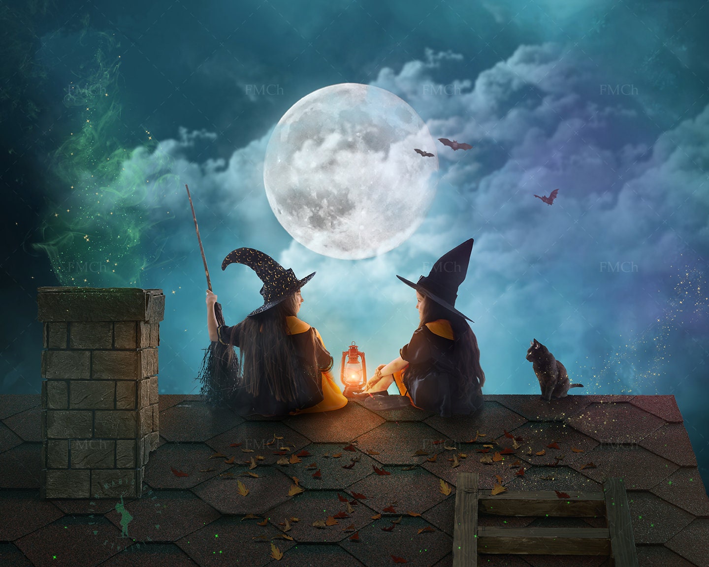 Fondo digital de luna llena de Halloween: Gato negro en el tejado (descarga  digital) - Etsy México, image size:1440x1152