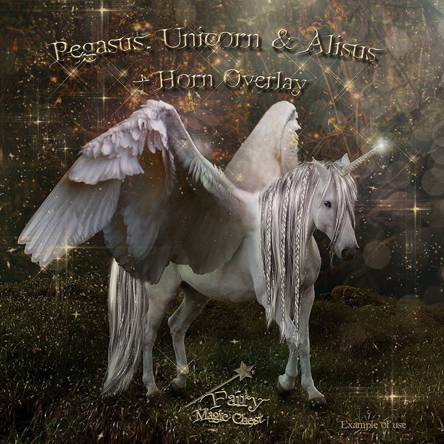 Pegasus Overlay Einhorn Realistisch Unisus Pferd Mit Etsy