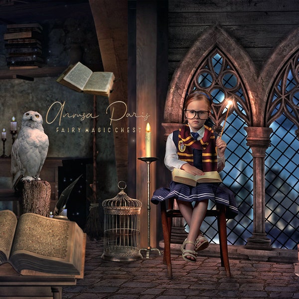 Digital background / backdrop, wizardry school , also for witch, scene with magic , books and owl