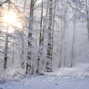 Snowy road digital background , digital backdrop for Composite Photography.