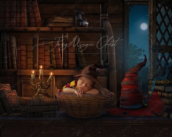 Newborn Wizard digital background, digital backdrop for baby photography, library and window, digital download