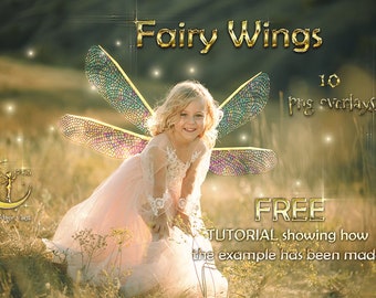 Digital fairy wings, overlay png on transparen background, dragonfly style.