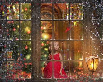 Layered Christmas Digital Background / Background and Snowy window overlay / Kit for Christmas Composite Photography.