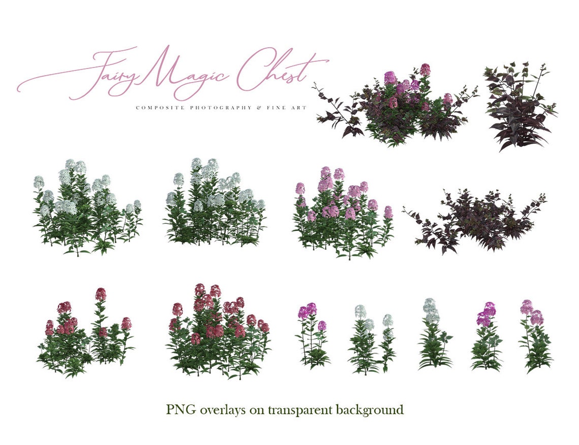 Spring / Summer Flowers PNG Digital Overlays on Transparent - Etsy