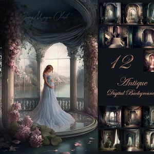 BUNDLE Fine Art Antique Digital Backgrounds , Maternity Backdrops, Painterly Portrait Overlays , Composite photography,