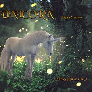 Unicorn png overlay , digital overlay , png on transparent background, high resolution , 8 unicorns clipart,  separate files