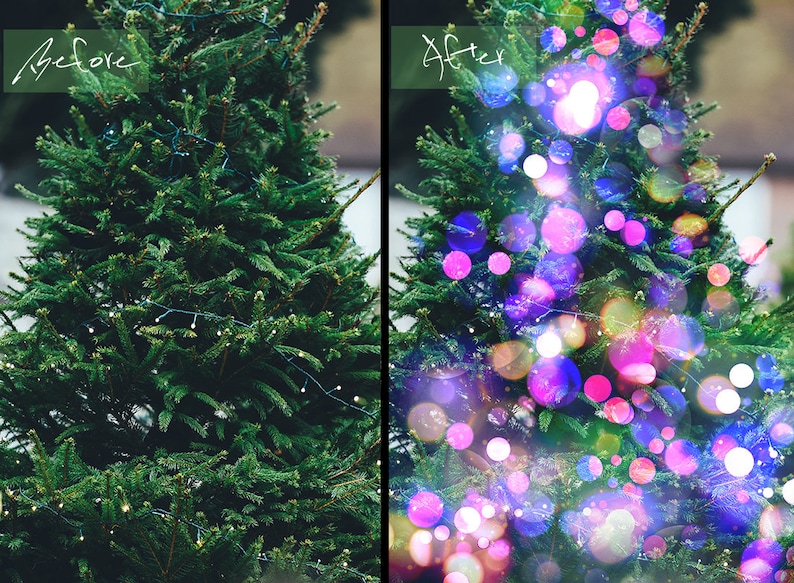 Realistic Christmas Tree Png Overlay and 20 Lights Bokeh - Etsy