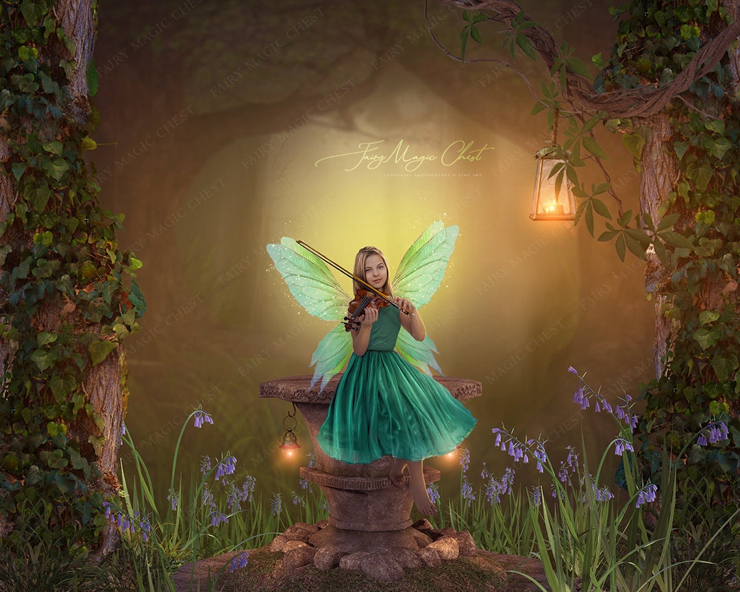 Digital Background for Fairy / Magical Place in the Enchanted picture