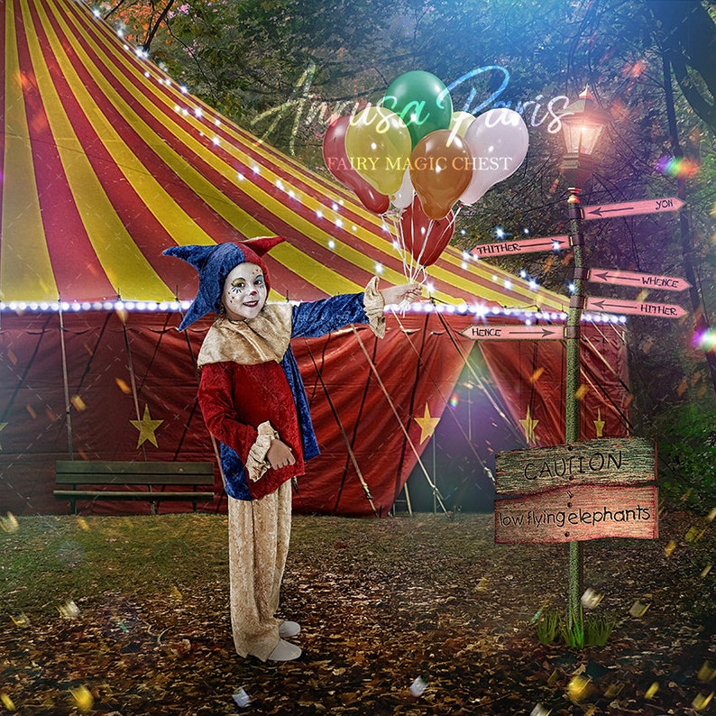 2 Circus digital background 2 versions of the digital | Etsy