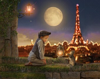 Paris View Digital Backdrop: Cat with Fireflies (JPG Digital Download)