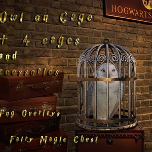 Pack with Owl on cage, png overlay , differens hanging cages (wood, cooper and gold) and other accessoires. Digital download.