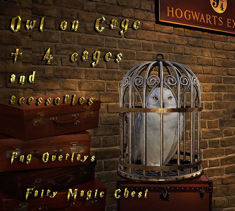 Pack with Owl on cage, png overlay , differens hanging cages (wood, cooper and gold) and other acces