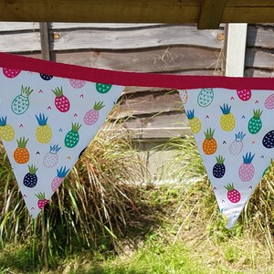 Puede incluir: Una pancarta de tela triangular blanca con ribete rosa y un patrón repetido de piñas coloridas. La pancarta está colgada al aire libre.