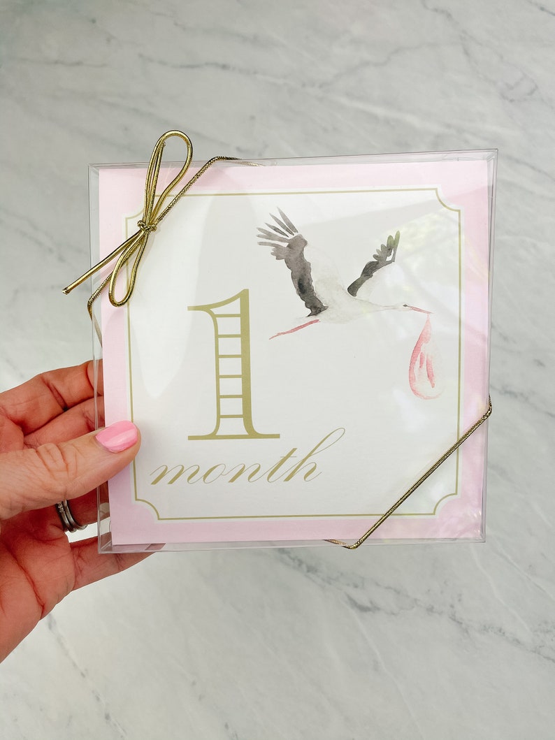 Girl Milestone Cards | Pink | Watercolor | Monthly Photos | Baby Photos ...