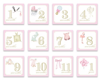 Girl Milestone Cards | Pink | Watercolor | Monthly Photos | Baby Photos | Adorable | Grandmillennial