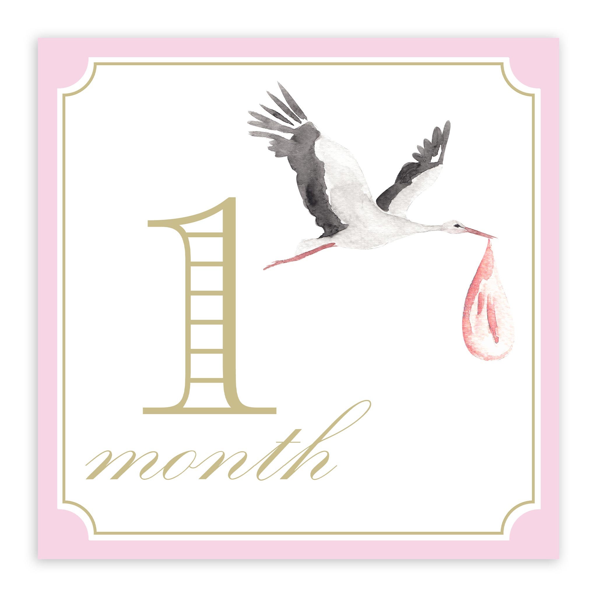 Girl Milestone Cards | Pink | Watercolor | Monthly Photos | Baby Photos ...