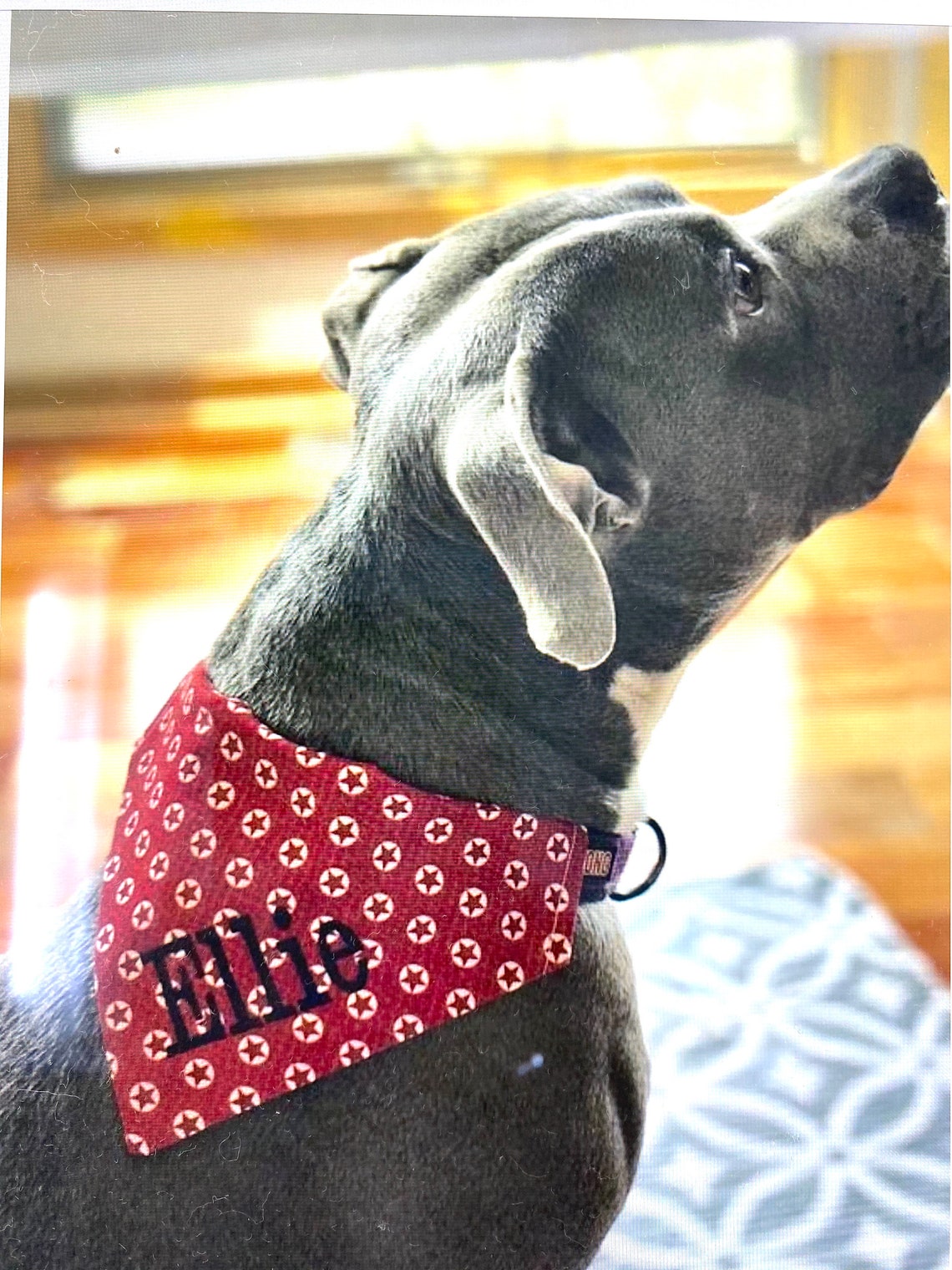 SMALL Personalized Dog Bandana Embroidered Dog Bandana Dog Etsy