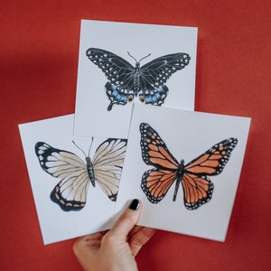 Butterflies - Set of 3 prints | butterfly print set | colorful wall art | butterfly prints