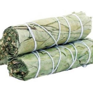 Eukalyptus Smudge Stick 10 cm