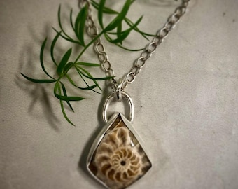 Ammonite pendant necklace