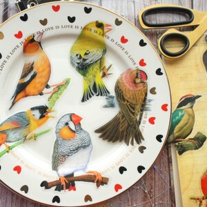 15pcs extra large bird stickers, Jungle birds sticker pack, Exotic birds sticker set Transparent background, Scrapbooking stationary decor