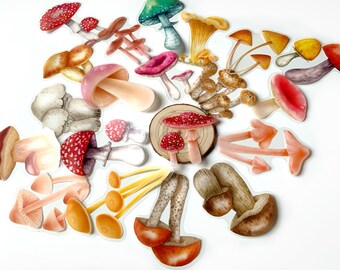 Large Toadstool stickers, 10, 20 or 40 pcs set, Fairy mushroom fungi transparent background, Scrapbooking stationary, Bullet journal supply