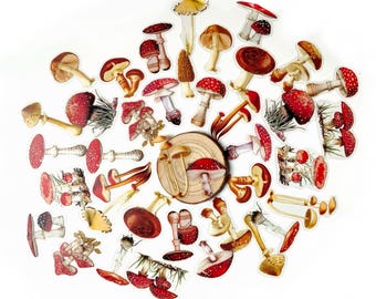Toadstool stickers set, Fairy mushroom fungi transparent background, various pack sizes, Scrapbooking stationary, Bullet journal supplies
