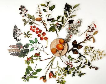 Large woodland berries sticker set, 10, 20 or 40pcs clear vinyl decal, Transparent background, Scrapbooking stationary, bullet diary planner