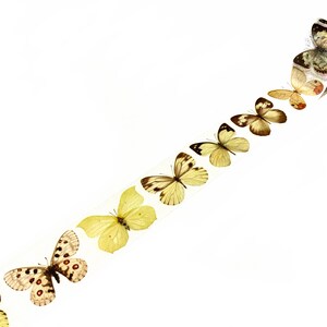 May include: A roll of washi tape featuring a line of yellow and brown butterflies. The tape is on a white background.