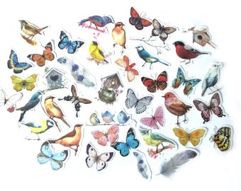 Nature sticker pack, Butterfly birds decal set, Spring summer stickers, 40pcs, Scrapbooking stationary and decor