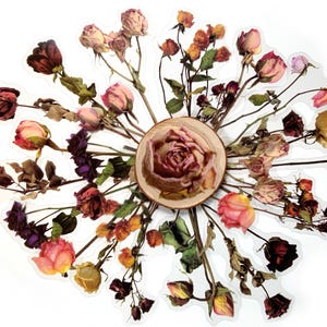 May include: A circular arrangement of dried roses in various colours, including pink, red, and yellow, radiating from a central wooden disc. The roses are attached to thin stems, creating a natural, floral design.