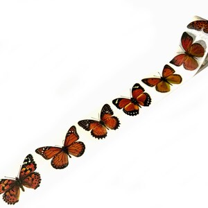 May include: A roll of washi tape with a repeating pattern of orange and brown butterflies on a white background.