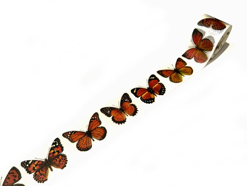 May include: A roll of washi tape with a repeating pattern of orange and brown butterflies on a white background.