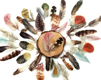 Feather sticker set, 20 or 40pcs clear vinyl decal, Transparent background, Scrapbooking stationary, bullet diary planner sticker pack