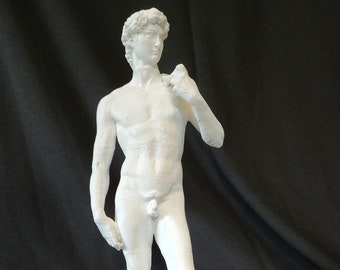 May include: White plaster statue of a nude male figure standing with one hand on his hip. The statue is a replica of the famous David sculpture by Michelangelo.