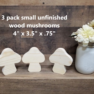 Dsseng 6 Pack Unfinished Small Wood Serving Tray for Crafts