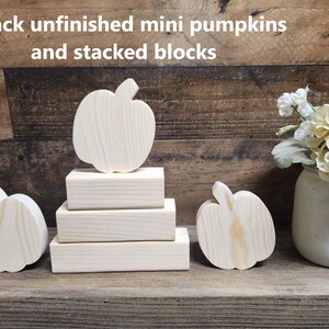 May include: Three unfinished wooden mini pumpkins and three stacked wooden blocks. The pumpkins are shaped like apples and are a light natural wood color. The blocks are also a light natural wood color.