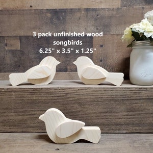3 pack Unfinished wood song bird cut outs / 3-D / DIY spring decor / DIY tiered tray decor / kids crafts / Christmas Decor