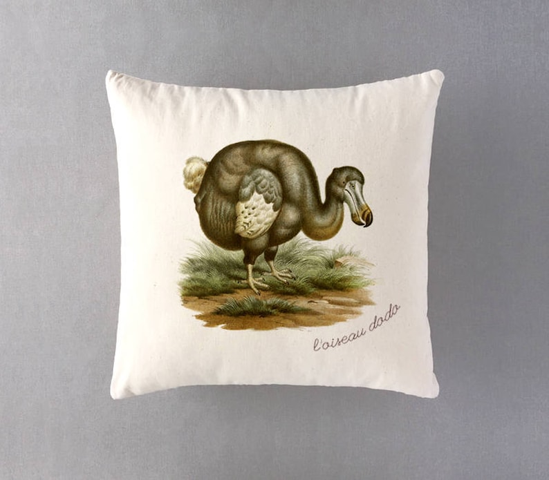 Dodo Bird Throw Pillow Housewarming Gift Dodo Pillow Dorm Etsy