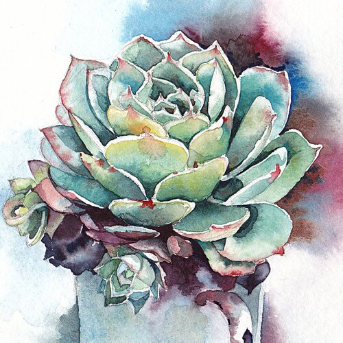 Succulent Print Succulent Watercolor Succulent Art | Etsy
