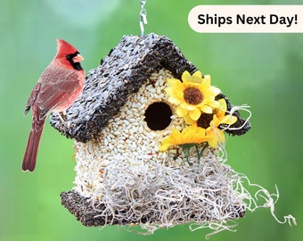 Edible Bird Home, Birdseed Birdhouse, Bird Seed House, Handmade Bird Feeder, Hanging Outdoor Birdhouses, Bird Lover Mother’s Day Gift (SD)